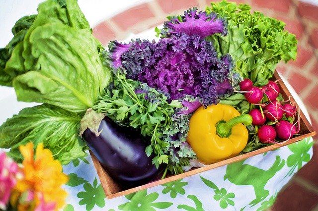 Vegan 2 Night / 13. Mai 2017 Neubad Luzern (heimische Küche)